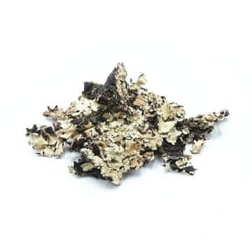 BIO Biočrni lišaj 25g