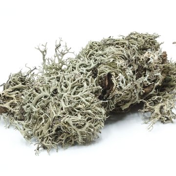BIO Biosivi lišaj 25g