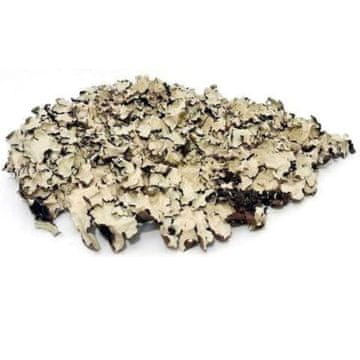 BIO Črni lišaj 100 g