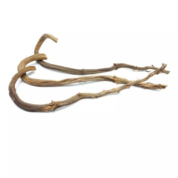 BIO BioBanana veja banane liane 60-70 cm