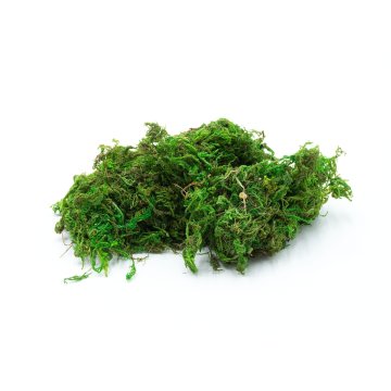 BIO Posušen mah za terarij, naravno obarvan, 50 g