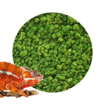 BIO BioIce mah svetlo zelen 25g