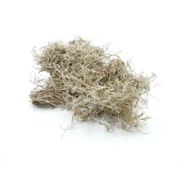 BIO BioSpain Moss španski mah 25g