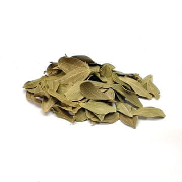 BIO BioVerde Leafs brazilski listi 20 g