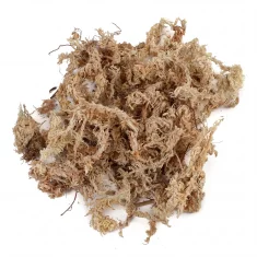 BE Stisnjen špagnumov mah 8 l (100 g) - Spagmoss