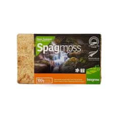 BE Stisnjen špagnumov mah 8 l (100 g) - Spagmoss