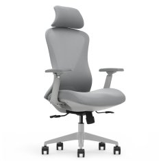 Ergonomski pisarniški stol Voyager, siv