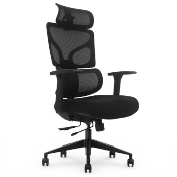 Bionic ergonomski pisarniški stol, črne barve