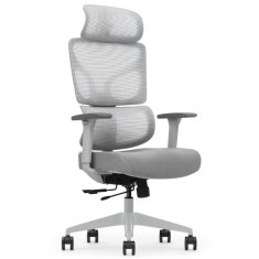 Bionic ergonomski pisarniški stol, siv