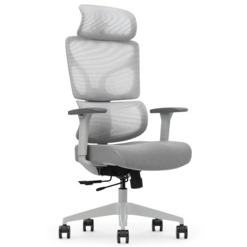 Bionic ergonomski pisarniški stol, siv
