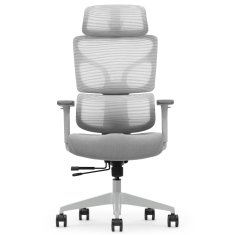 Bionic ergonomski pisarniški stol, siv