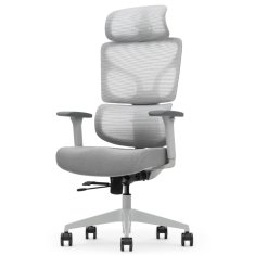 Bionic ergonomski pisarniški stol, siv