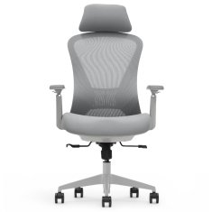 Ergonomski pisarniški stol Voyager, siv