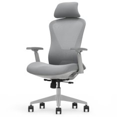 Ergonomski pisarniški stol Voyager, siv