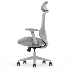 Ergonomski pisarniški stol Voyager, siv