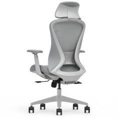 Ergonomski pisarniški stol Voyager, siv