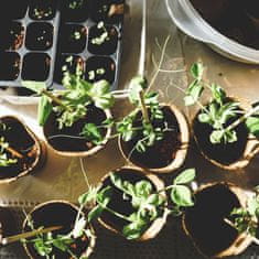 BIO Aktivno oglje za vrtne rastline, 1l