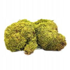 BIO Naravna gozdna blazina iz mahu v kozarcu 100 g