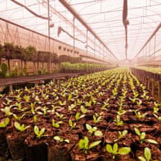 BIO Kisli šotni substrat Naravna zemlja pH 3,5-4,5 2l