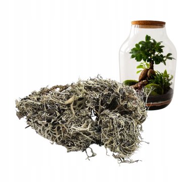 BIO Okrasitev v kozarcu z motivom sivih lišajev, 25 g