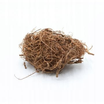 BIO Dekoracija korenin Gozd v kozarcu Dekoracija Nature 25g