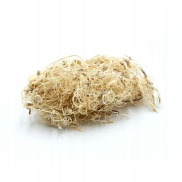 BIO Gozdna dekoracija White Roots v kozarcu 25g