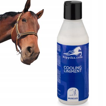 Hladilno mazilo za konje 250 ml - takojšnje olajšanje