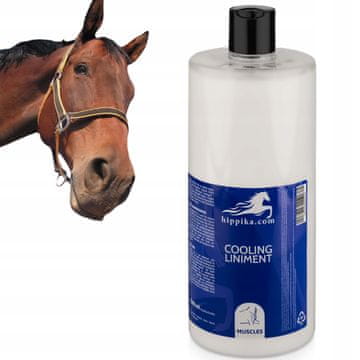 Hladilno mazilo za konje 1000ml - takojšnje olajšanje