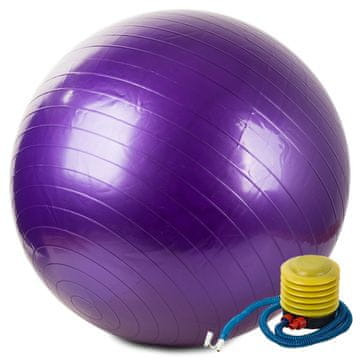 GR Gimnastična žoga + 65 cm tlačilka za rehabilitacijo