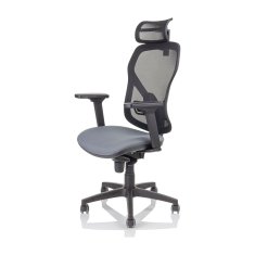 Heka Interier Heka Ergonomski pisarniški stol Master Q4