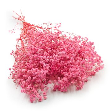 shumee Stabilizirana gipsofila - (gipsofila) - kraljevski šopek - roza