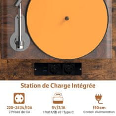 Costway Stojalo za gramofon 79,5x40x79 cm rustikalno rjavo z vtičnico USB Type C
