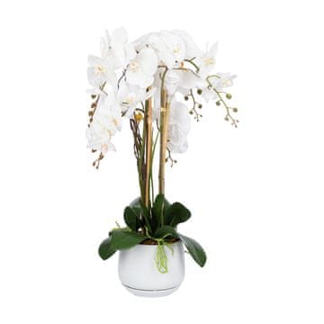 Homestar Orchid Garden Queen H68cm bela