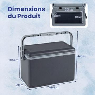 Costway Prenosni trdi hladilnik 12L siva
