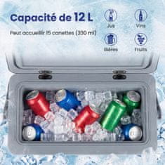 Costway Prenosni trdi hladilnik 12L siva