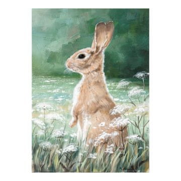 Homestar Oljna slika 50x70 cm zajec na travniku