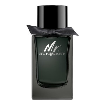 Burberry Mr. parfumska voda v spreju 100 ml
