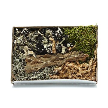 BIO BioSet Tropical Tropical Detailing Set
