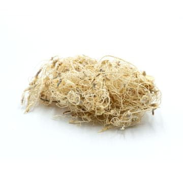 BIO Bioindijske korenine BELE 25g