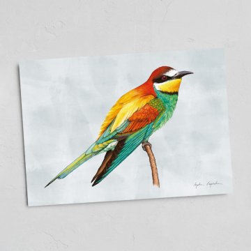 Kartica čebelarja 13x18