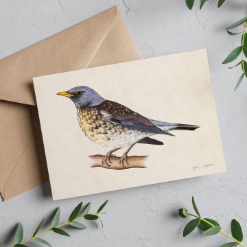 Kartica Fieldfare 13x18