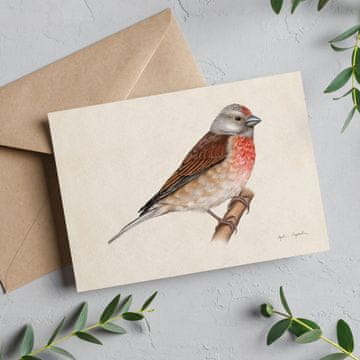 Linnet kartica 13x18