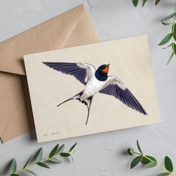 Kartica lastovke v letu 13x18