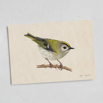 Zajčja kartica 13x18