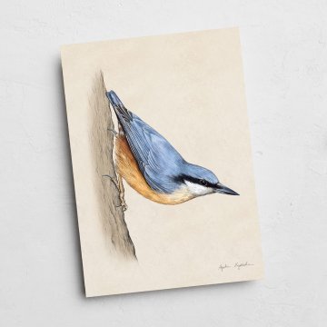 Kartica brglja 13x18