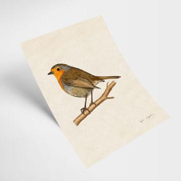 Ilustracija Robin 21x30