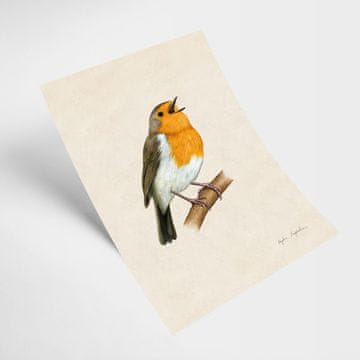 Ilustracija Robin 2 21x30