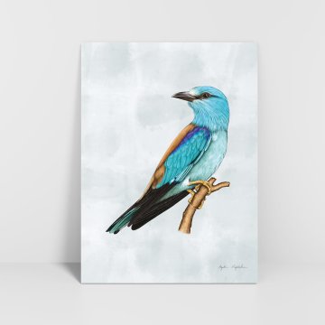 Krasek grafika 30x40