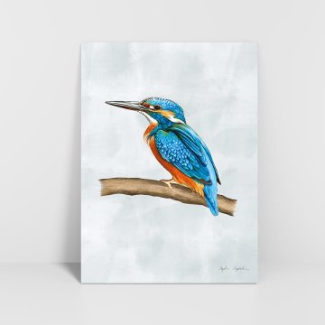 Grafika vodomca 30x40