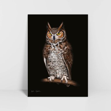Grafika velike rogate sove 30x40